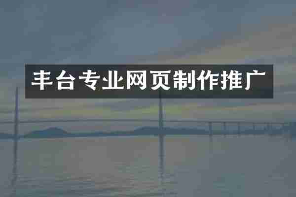丰台专业网页制作推广