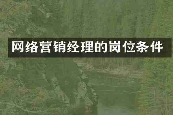 网络营销经理的岗位条件