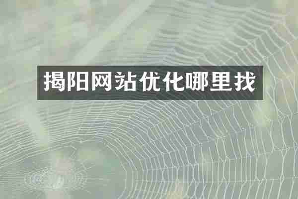 揭阳网站优化哪里找