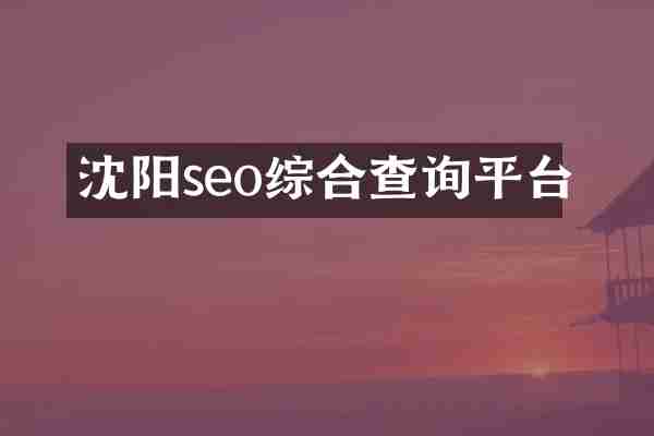 沈阳seo综合查询平台