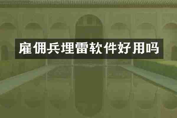 雇佣兵埋雷软件好用吗
