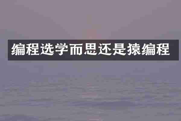 编程选学而思还是猿编程