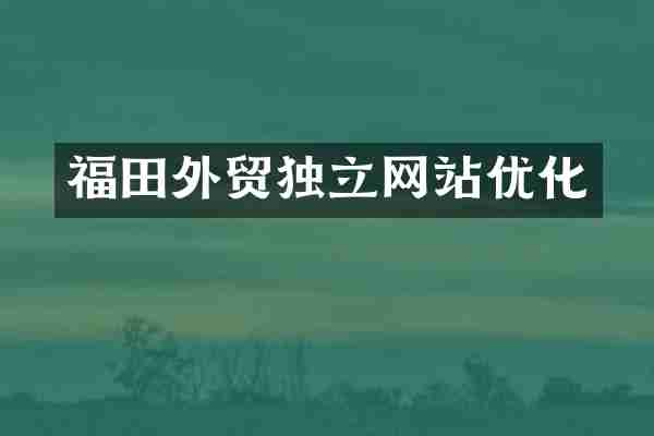 福田外贸独立网站优化