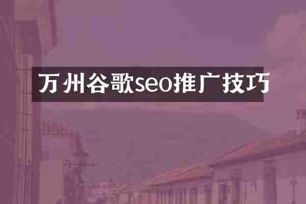 万州谷歌seo推广技巧