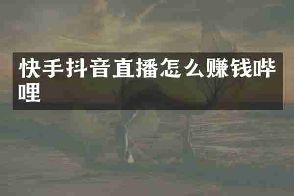 快手抖音直播怎么赚钱哔哩