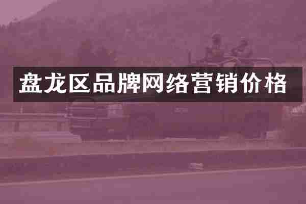 盘龙区品牌网络营销价格