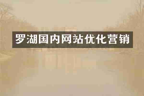 罗湖国内网站优化营销