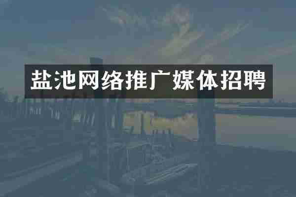 盐池网络推广媒体招聘