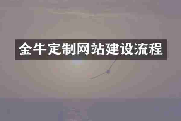 金牛定制网站建设流程