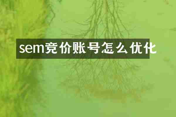 sem竞价账号怎么优化