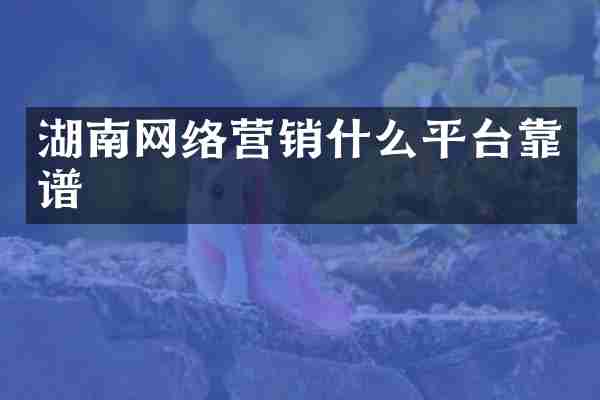 湖南网络营销什么平台靠谱