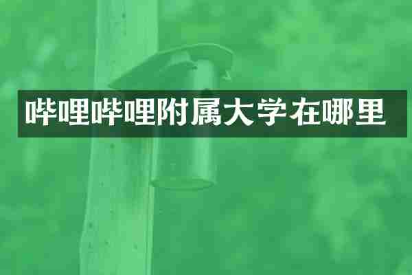 哔哩哔哩附属大学在哪里