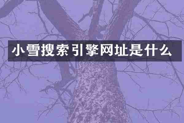 小雪搜索引擎网址是什么