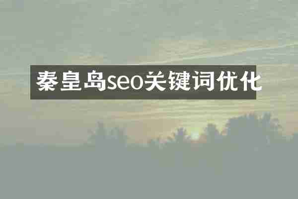 秦皇岛seo关键词优化