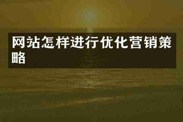 网站怎样进行优化营销策略