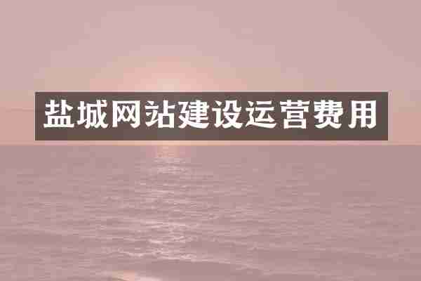 盐城网站建设运营费用
