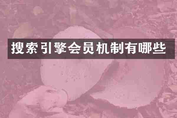 搜索引擎会员机制有哪些