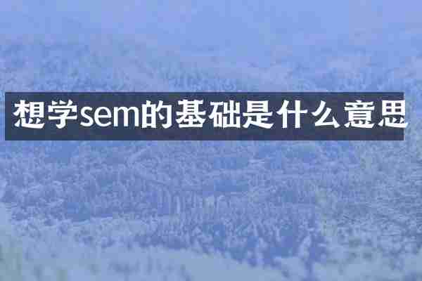 想学sem的基础是什么意思