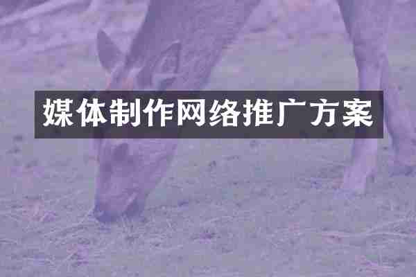 媒体制作网络推广方案