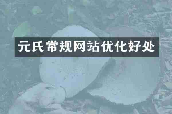 元氏常规网站优化好处