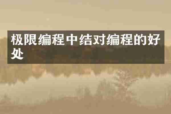 极限编程中结对编程的好处