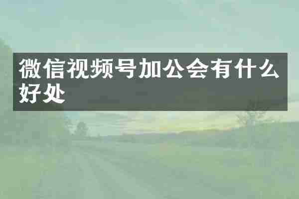 微信视频号加公会有什么好处