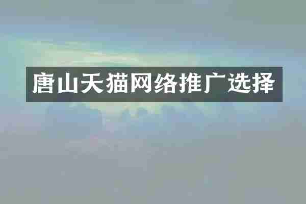 唐山天猫网络推广选择