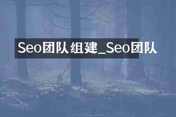 Seo团队组建_Seo团队
