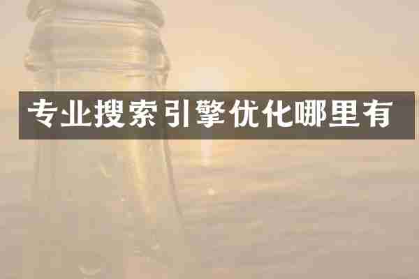 专业搜索引擎优化哪里有