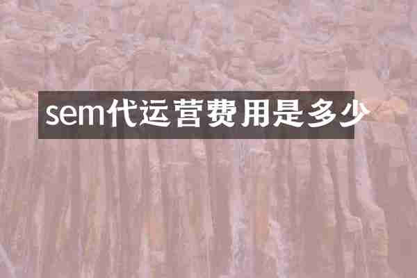 sem代运营费用是多少