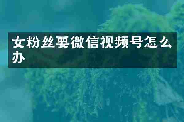 女粉丝要微信视频号怎么办