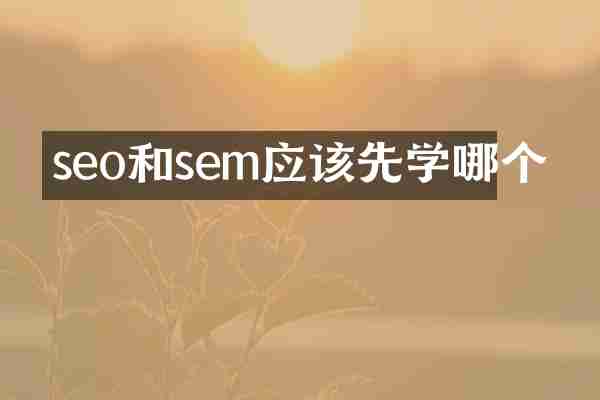 seo和sem应该先学哪个