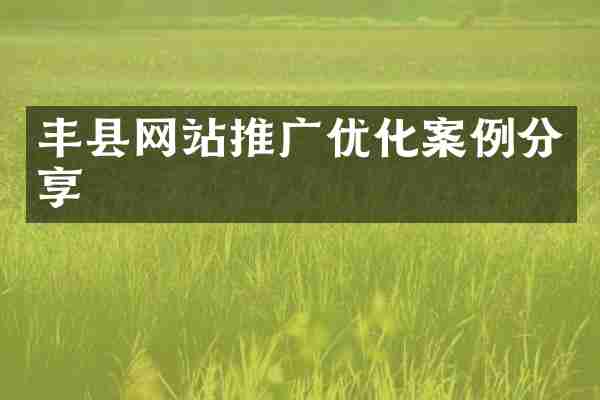 丰县网站推广优化案例分享