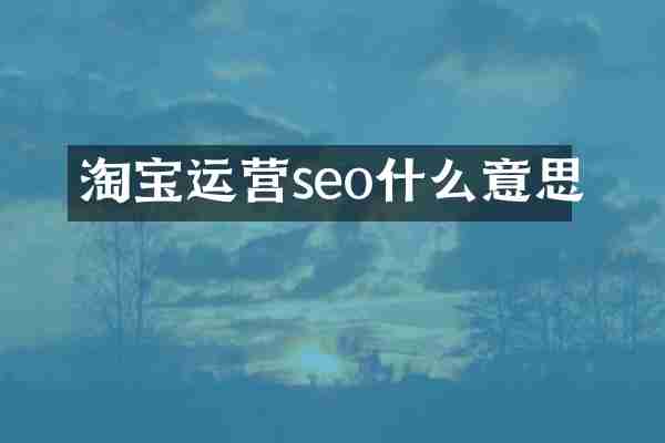 淘宝运营seo什么意思
