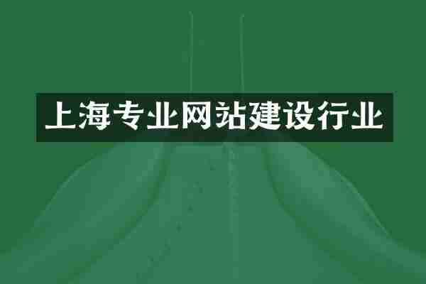 上海专业网站建设行业