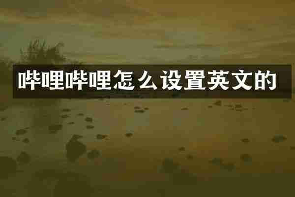 哔哩哔哩怎么设置英文的