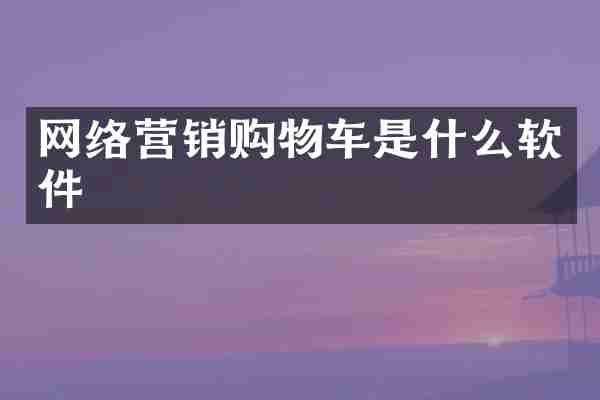 网络营销购物车是什么软件