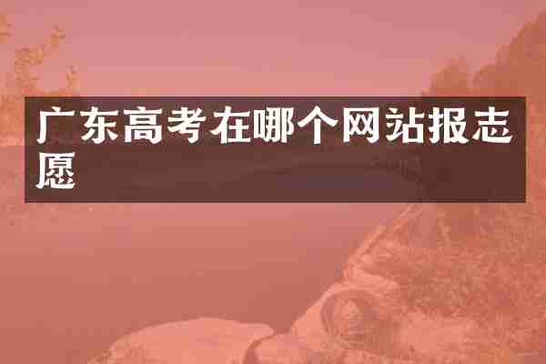 广东高考在哪个网站报志愿