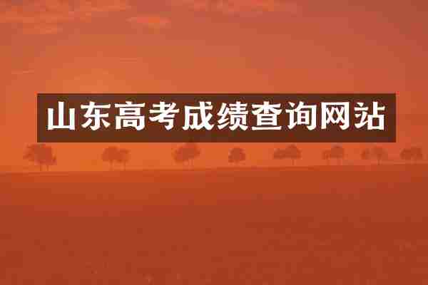 山东高考成绩查询网站