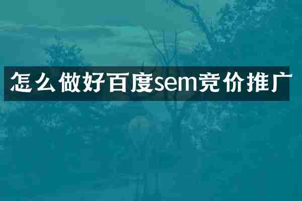 怎么做好百度sem竞价推广