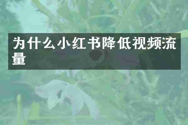 为什么小红书降低视频流量