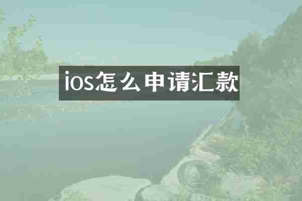 ios怎么申请汇款