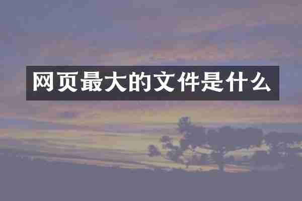 网页最大的文件是什么