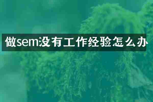 做sem没有工作经验怎么办