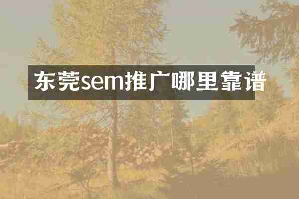 东莞sem推广哪里靠谱