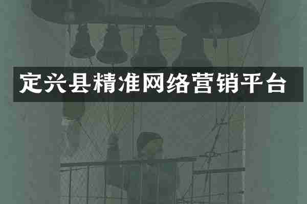 定兴县精准网络营销平台
