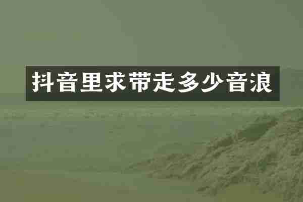 抖音里求带走多少音浪