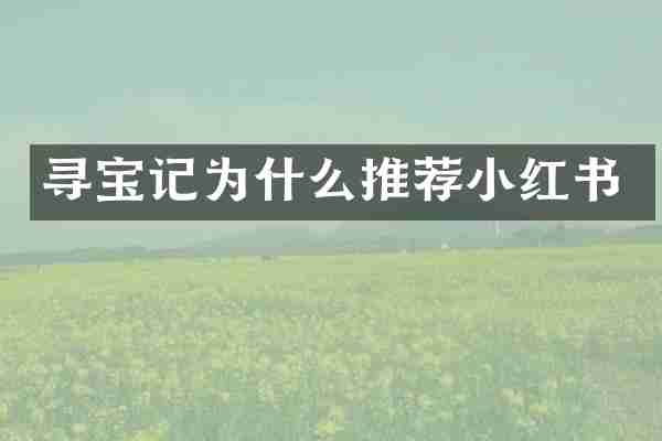 寻宝记为什么推荐小红书