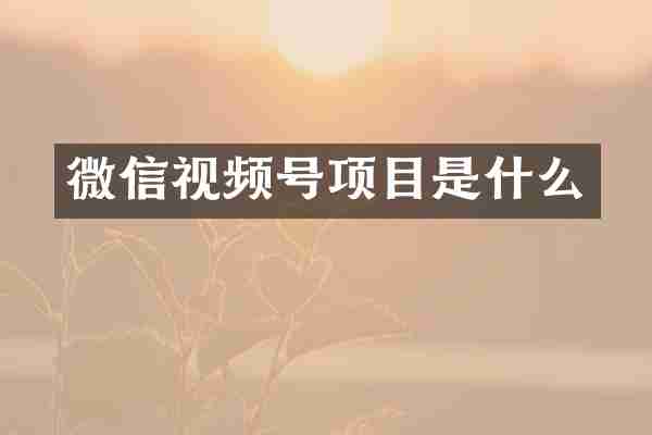 微信视频号项目是什么