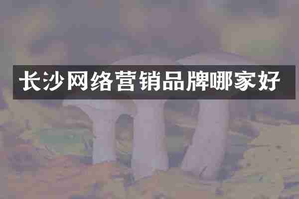 长沙网络营销品牌哪家好